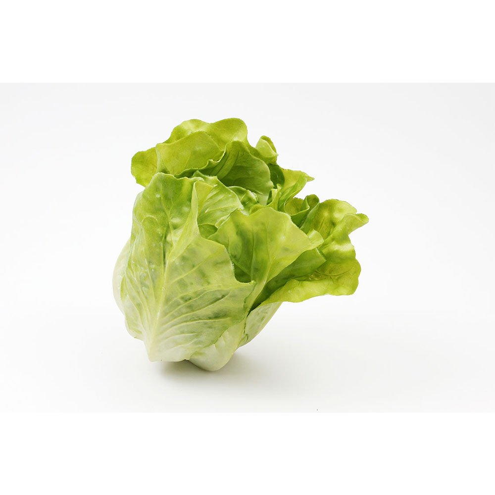 חסה לתצוגה (ליחידה)