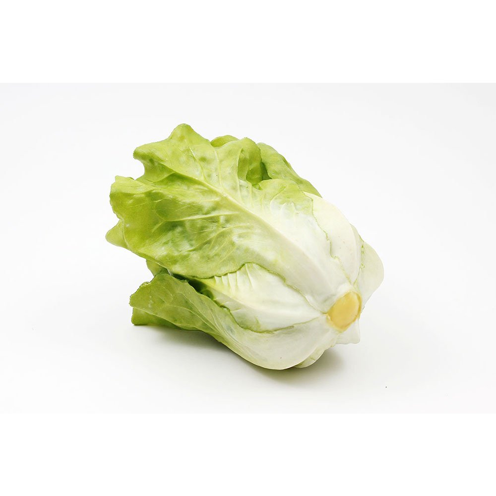 חסה לתצוגה (ליחידה)