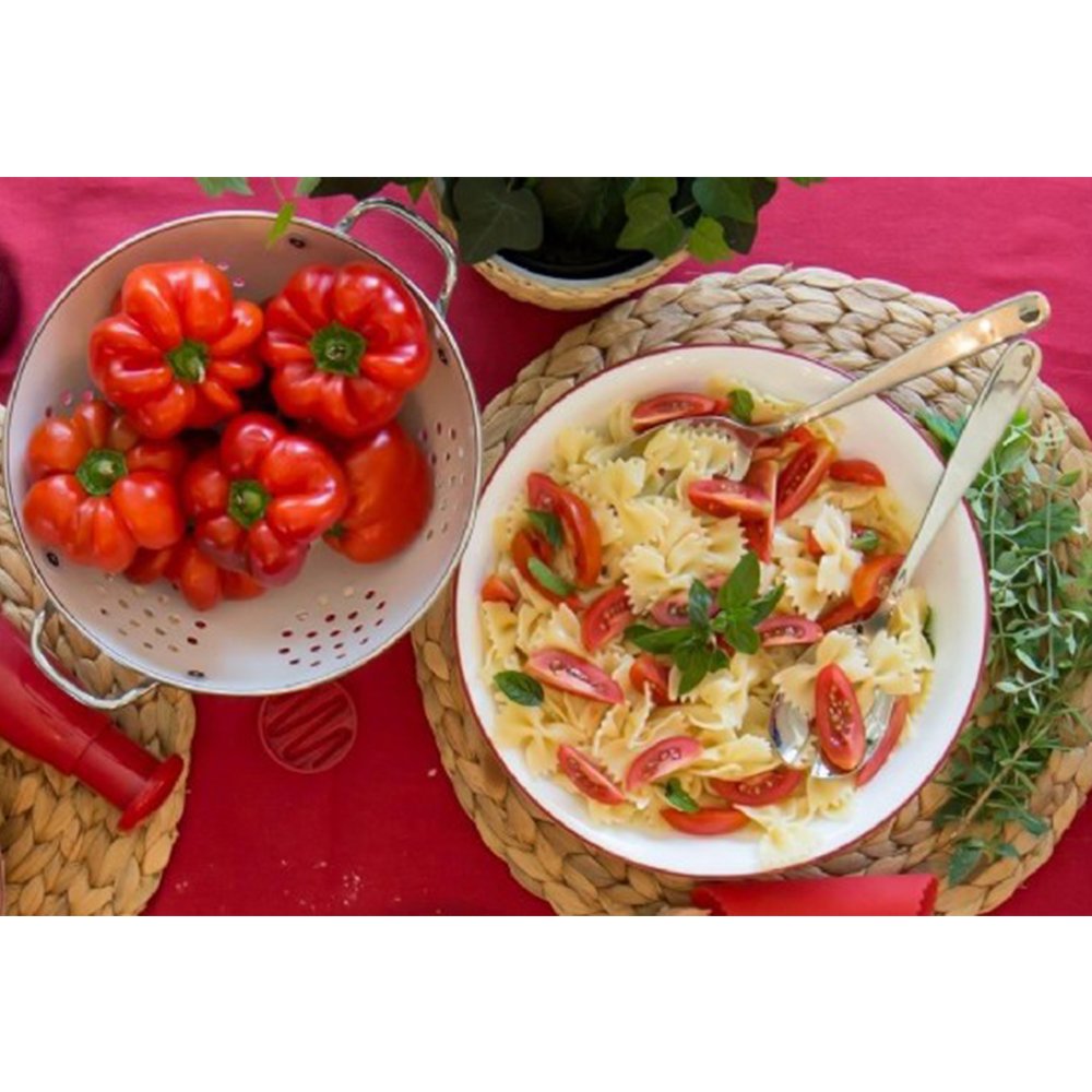 קערת סלט גדולה 2 ל' , פס אדום מבית Corning Corelle קורנינג