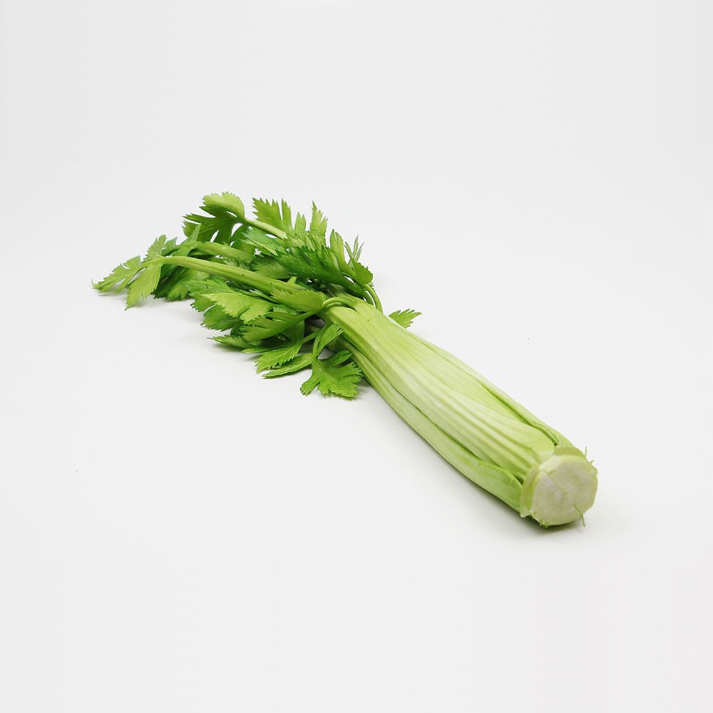 סלרי לתצוגה (ליחידה)