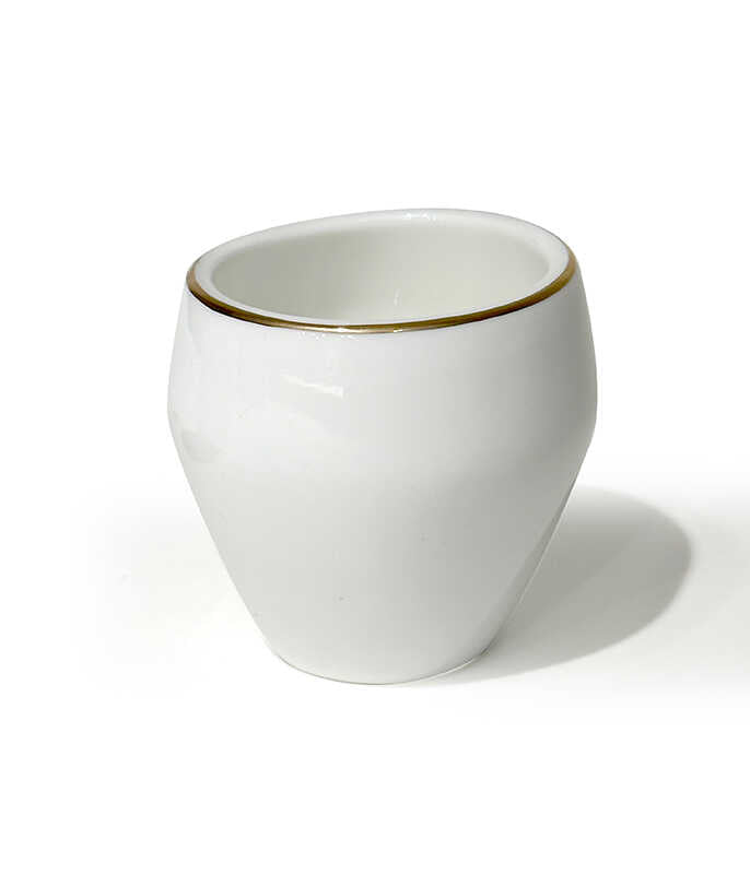 כלי לאחסון קסמי שיניים פורצלן NEW BONE לבן פס זהב EBERN