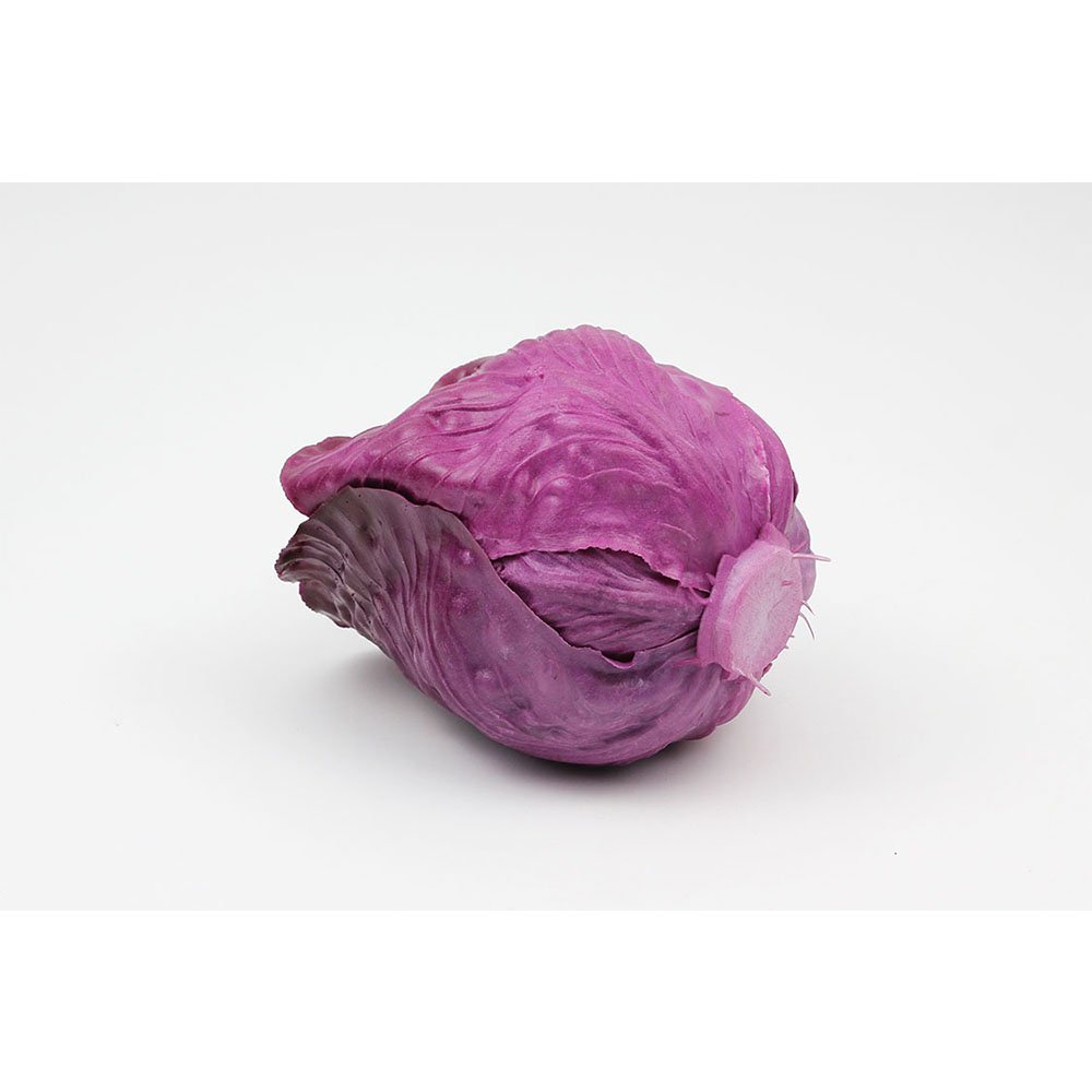 כרוב סגול לתצוגה ( יחידה )