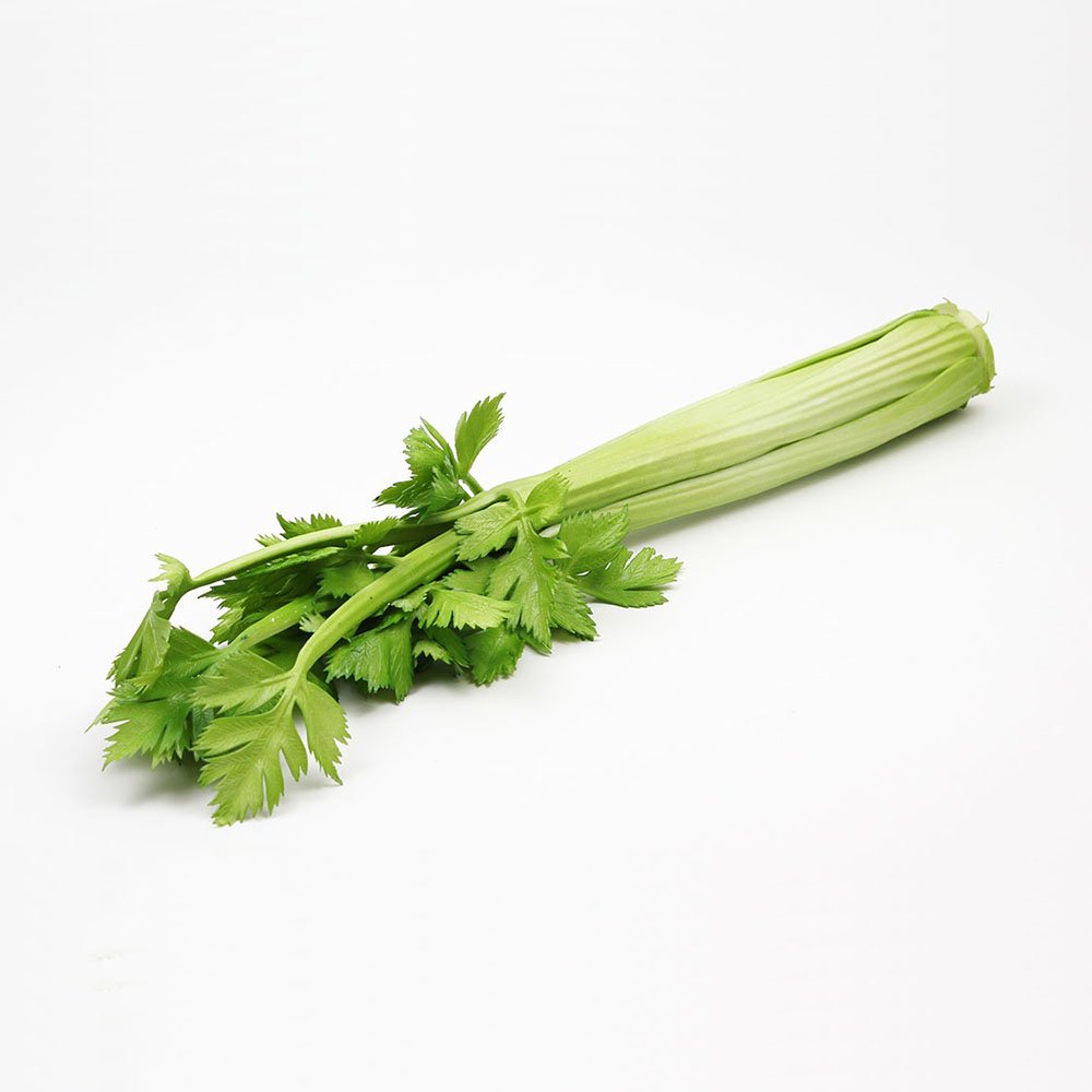 סלרי לתצוגה (ליחידה)